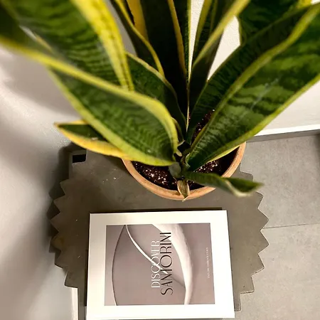 To Spitaki Sas, In Santorini! *