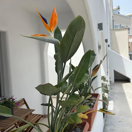 To Spitaki Sas, In Santorini! Mesariá