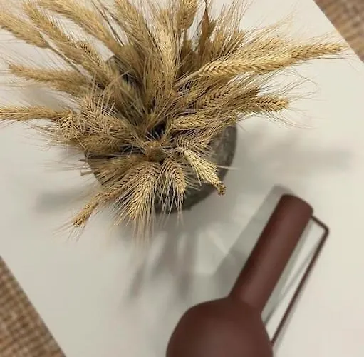 Appartamento To Spitaki Sas, In Santorini! *