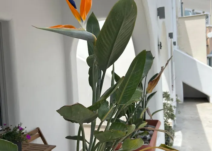 To Spitaki Sas, In Santorini! Mesariá