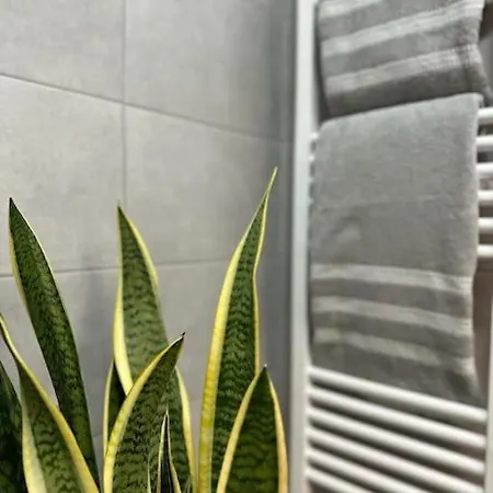 To Spitaki Sas, In Santorini! Mesaria