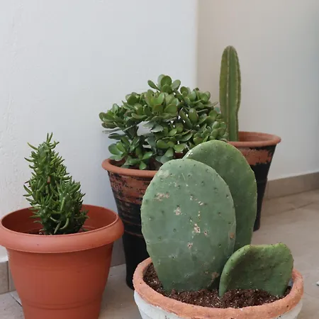 To Spitaki Sas, In Santorini! Lägenhet