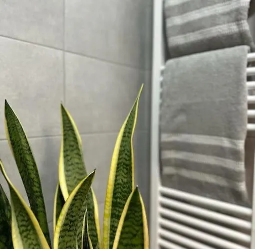 To Spitaki Sas, In Santorini! Мессария