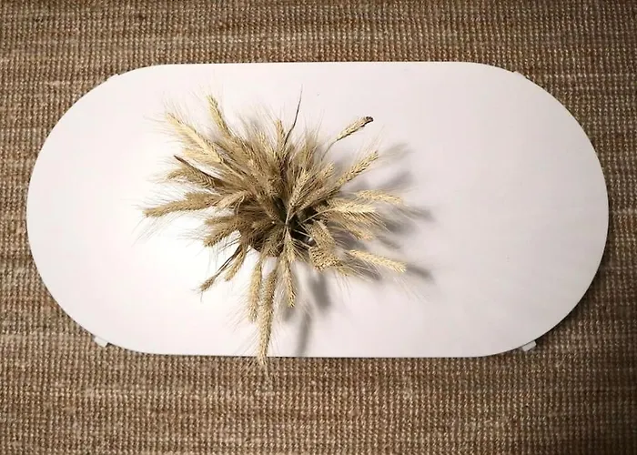 To Spitaki Sas, In Santorini! Apartment *