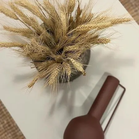 Apartment To Spitaki Sas, In Santorini! *