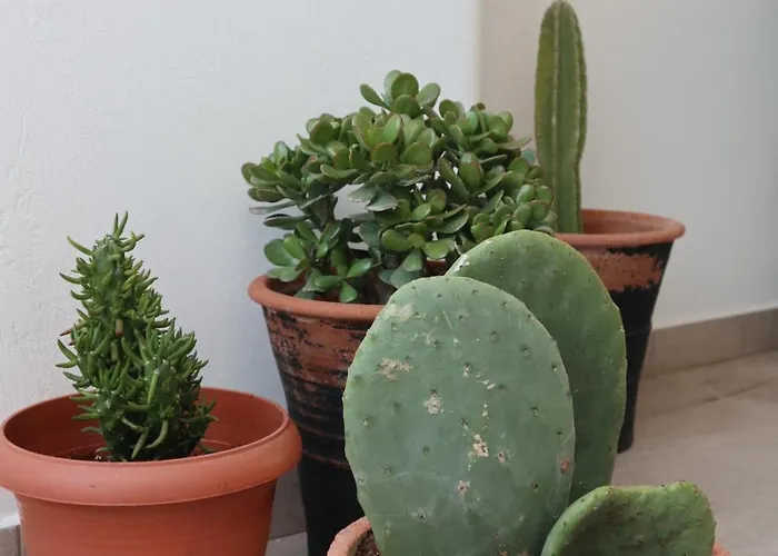 To Spitaki Sas, In Santorini! Daire