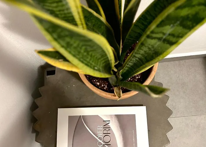 To Spitaki Sas, In Santorini! *